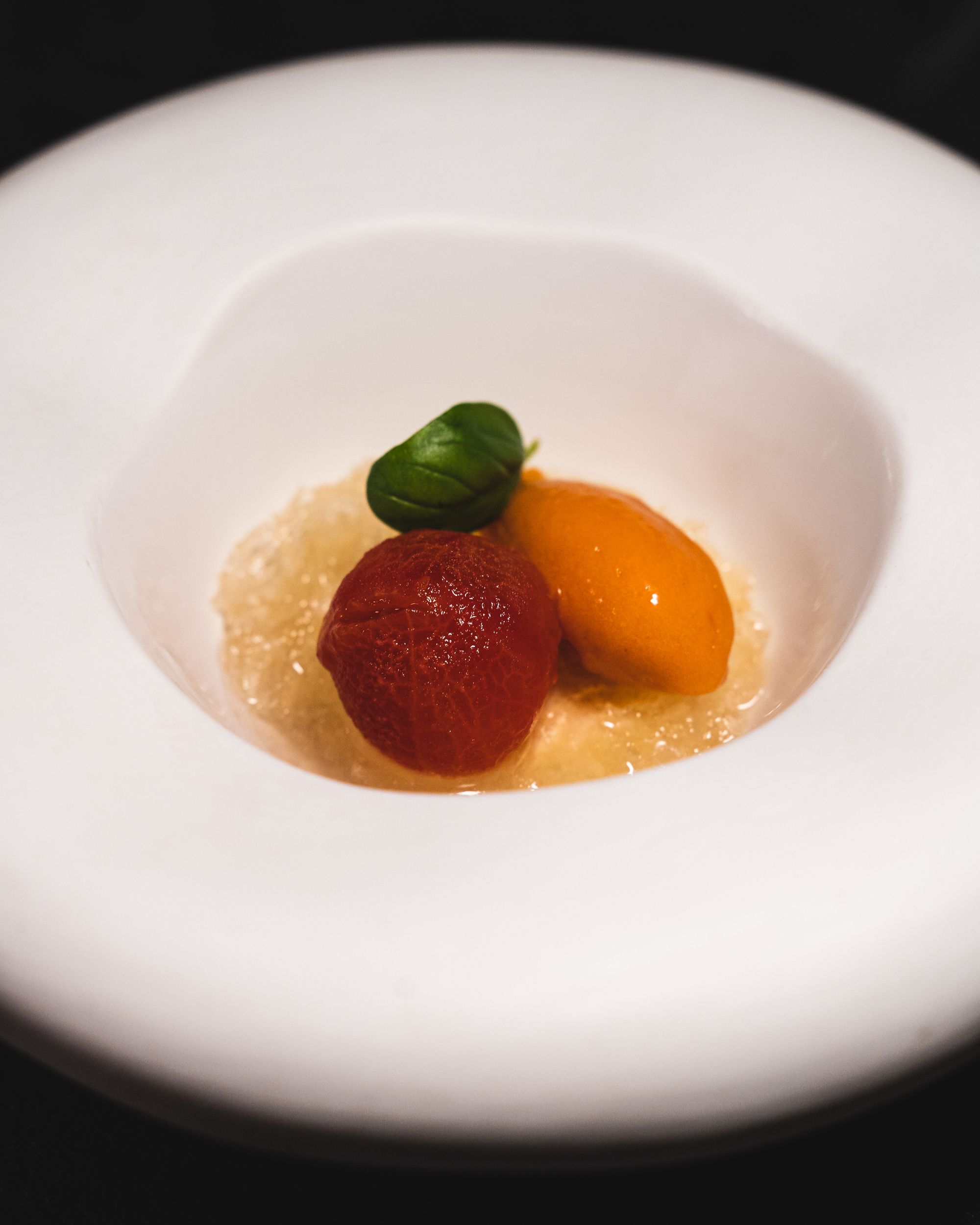 Close up of tomato sorbet, stracciatella and basil in a while bowl