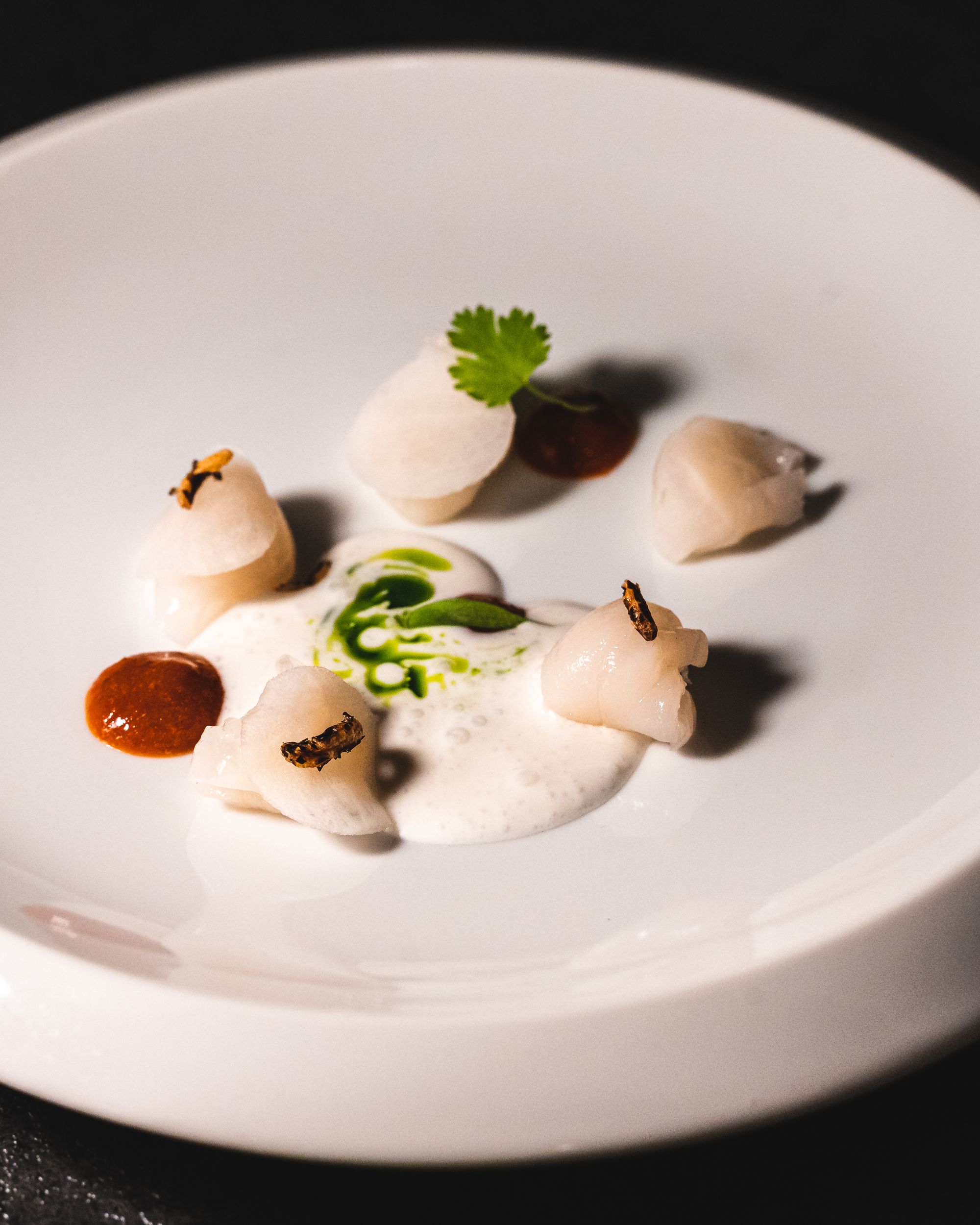Close up of scallops, coconut cloth and miso