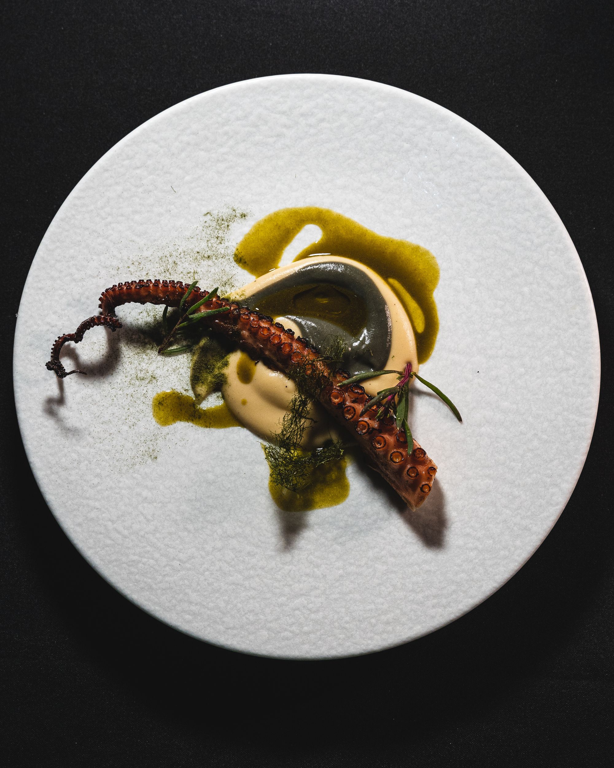 Top down shot of charred octopus tentacle