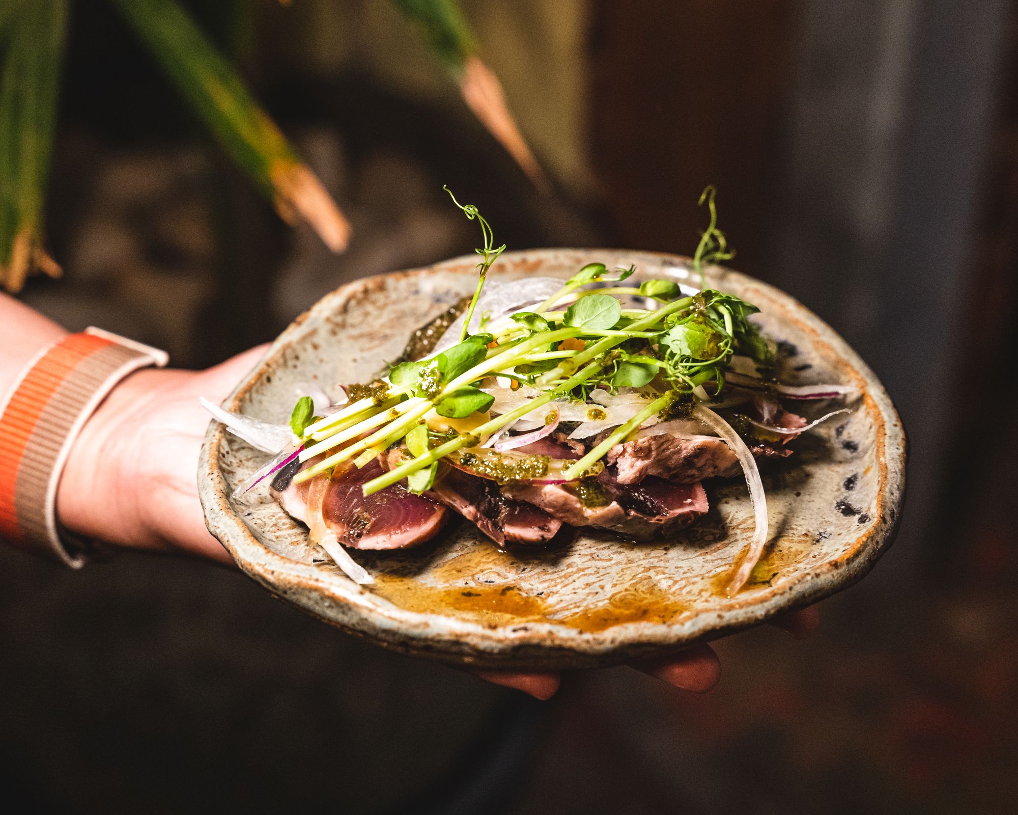 Hand holding a plate of bonito tataki garnished with microgreens