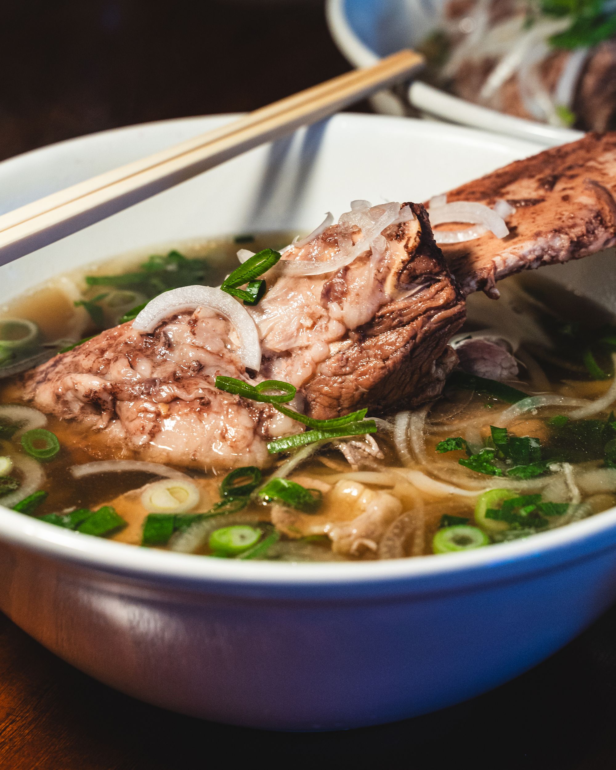 Close up of pho with short rib, spring onion and garnish